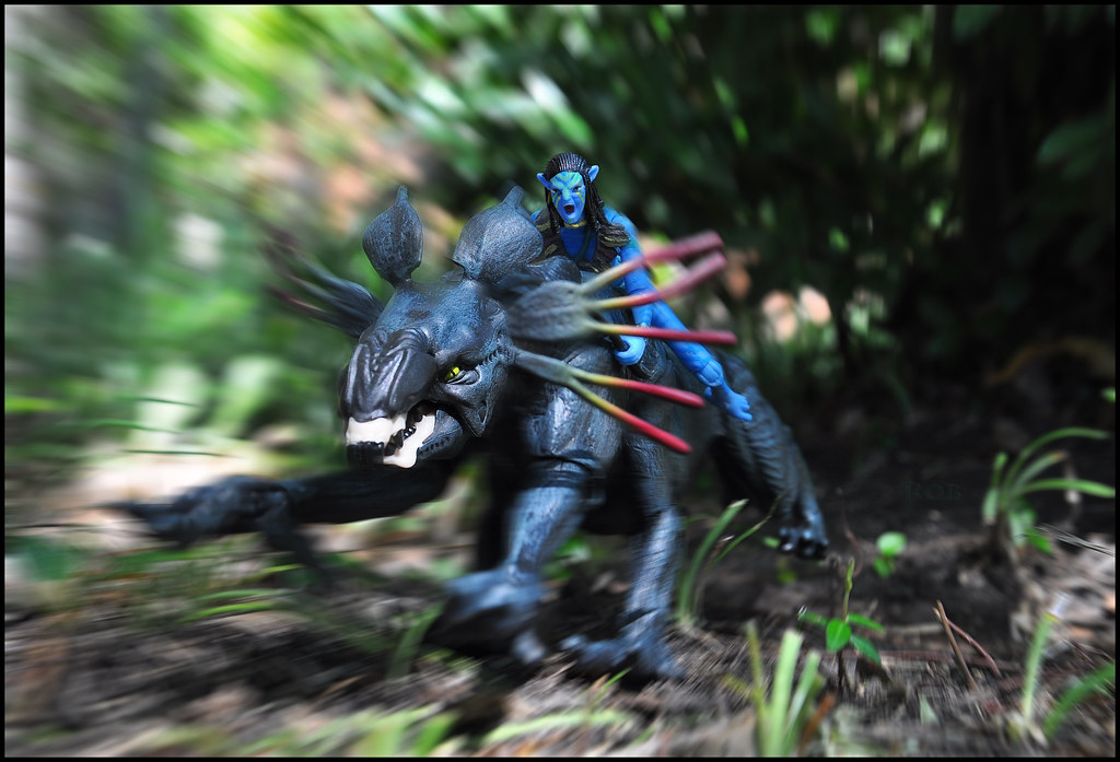 Wonder Toy Shop -Wonder Toy Shop 15037957782 a3b6da88ec b