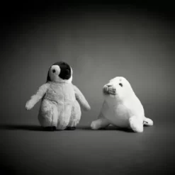 National Geographic Harp Seal Pup Medium Soft Toy -Wonder Toy Shop 412303312962 1