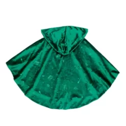 Disney Store Winifred Sanderson Costume Accessory Set For Adults, Hocus Pocus -Wonder Toy Shop 428402839507 2