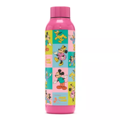 Disney Store Mickey Mouse And Friends Stainless Steel Water Bottle 3 Disney Store Mickey Mouse And Friends Stainless Steel Water Bottle