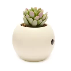 Disney Store Baymax Artificial Potted Plant, Big Hero 6 -Wonder Toy Shop 465043353962 3