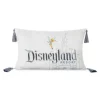 Disneyland Resort Disney100 Celebration Cushion -Wonder Toy Shop 465043583154