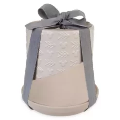 Disney Parks Mickey Mouse Homestead Plant Pot 9 Disney Parks Mickey Mouse Homestead Plant Pot -Wonder Toy Shop 465043672339 3