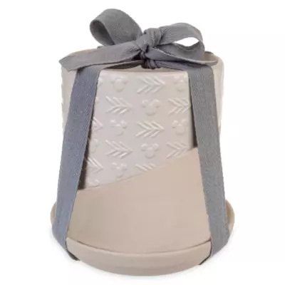 Disney Parks Mickey Mouse Homestead Plant Pot 6 Disney Parks Mickey Mouse Homestead Plant Pot - Image 4