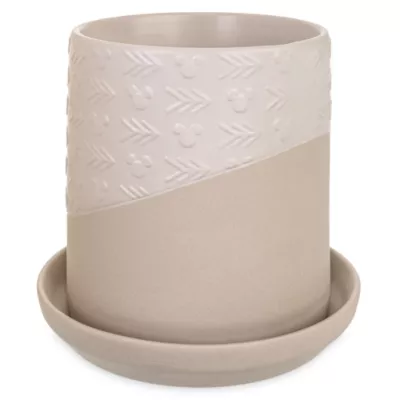 Disney Parks Mickey Mouse Homestead Plant Pot 3 Disney Parks Mickey Mouse Homestead Plant Pot