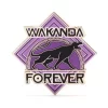 Disney Store Black Panther: World Of Wakanda Pin -Wonder Toy Shop 466043716801